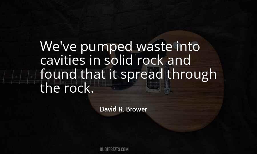 David R. Brower Quotes #1381796