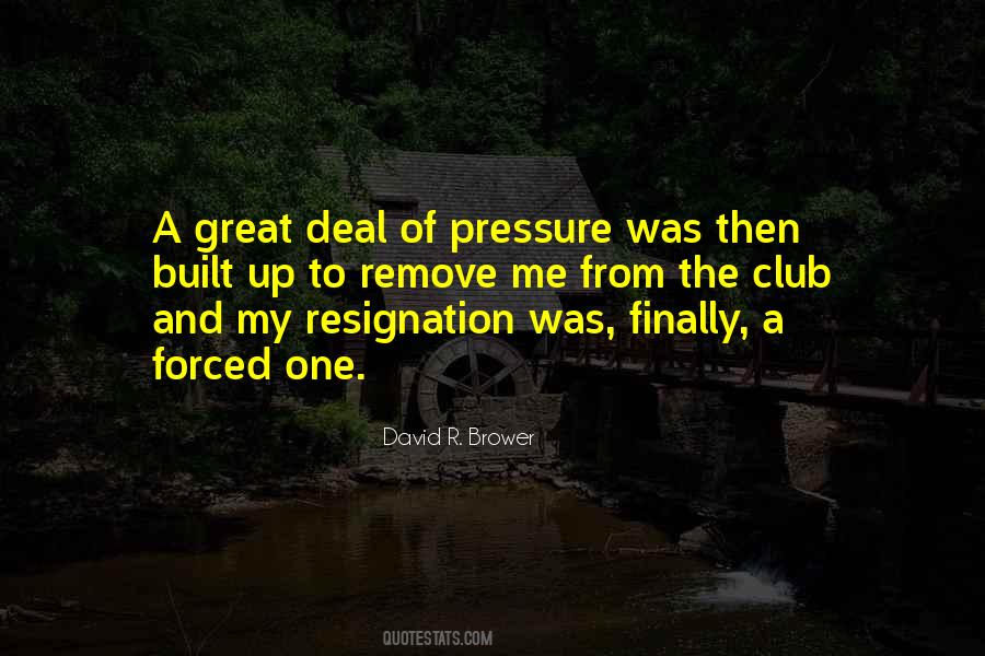 David R. Brower Quotes #138265