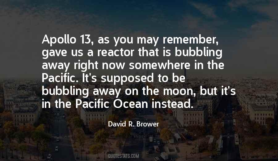 David R. Brower Quotes #1414484