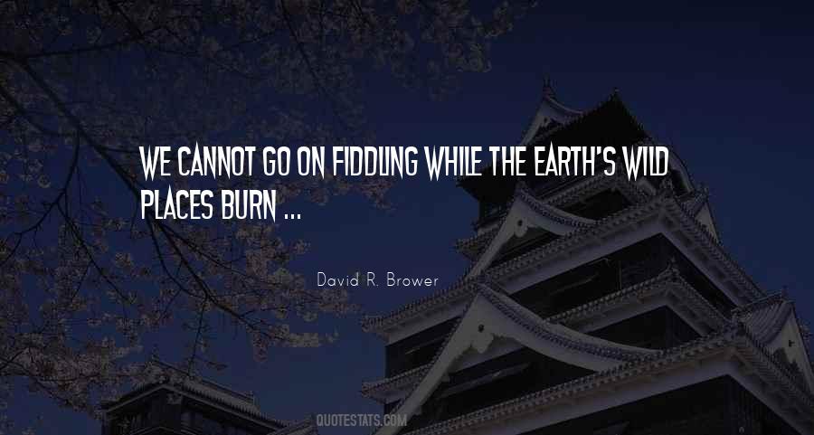 David R. Brower Quotes #1552308