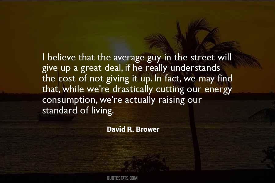 David R. Brower Quotes #1687658