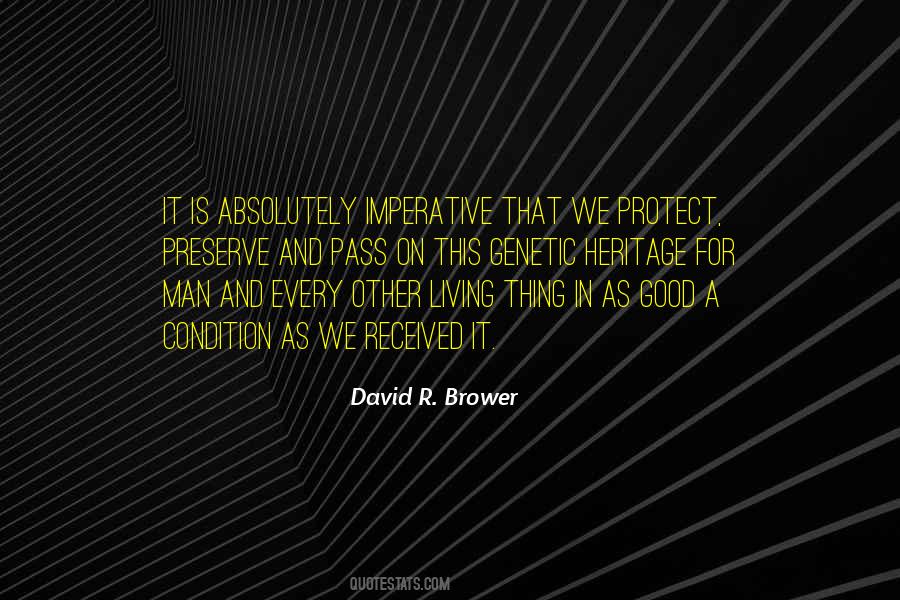 David R. Brower Quotes #1841279