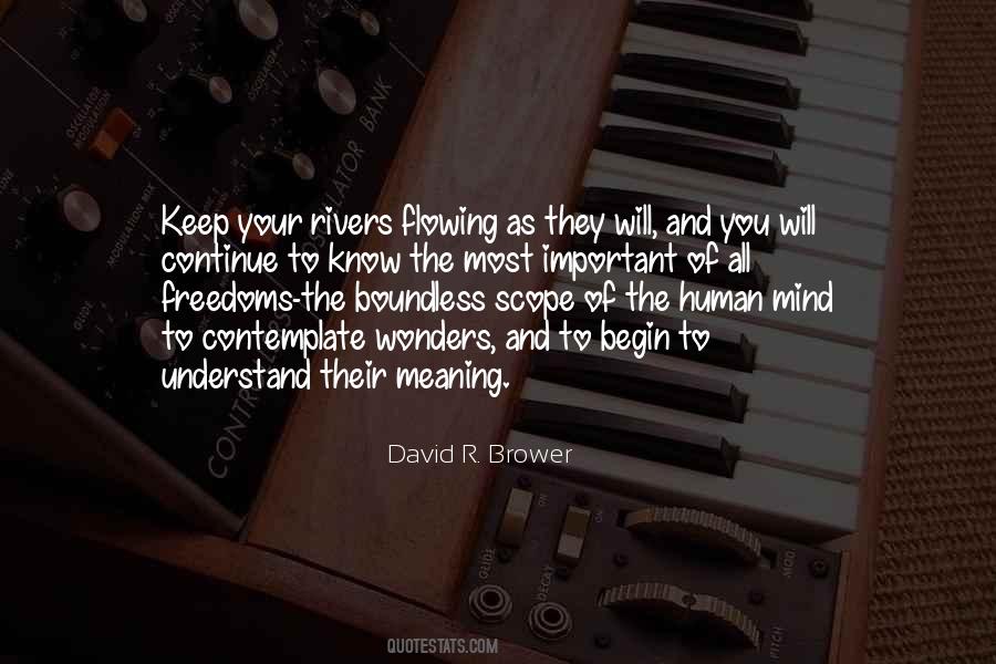 David R. Brower Quotes #508380