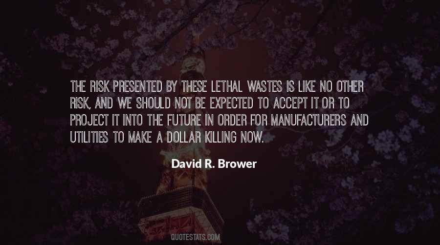 David R. Brower Quotes #774252