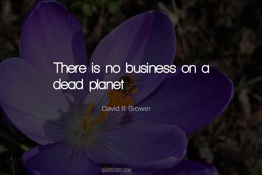 David R. Brower Quotes #813098