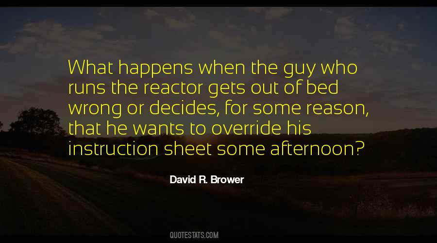 David R. Brower Quotes #887061