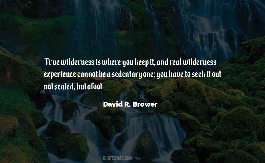 David R. Brower Quotes #983984