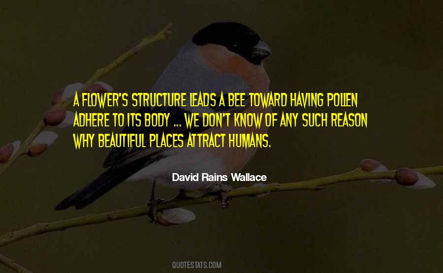 David Rains Wallace Quotes #1212950