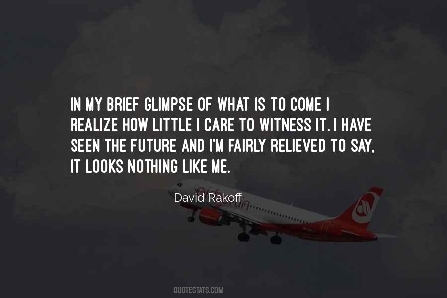 David Rakoff Quotes #462661