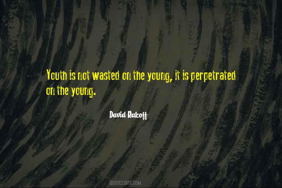 David Rakoff Quotes #988536