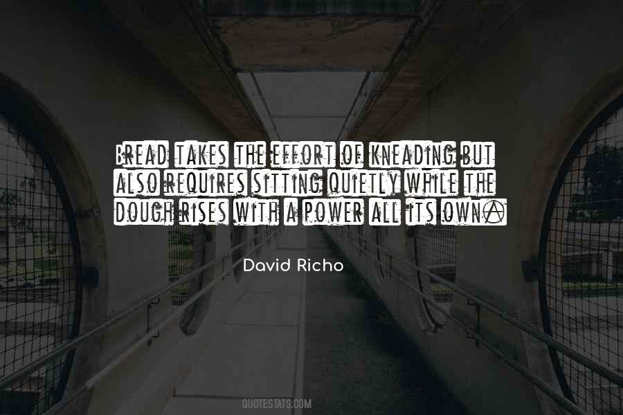 David Richo Quotes #1025168