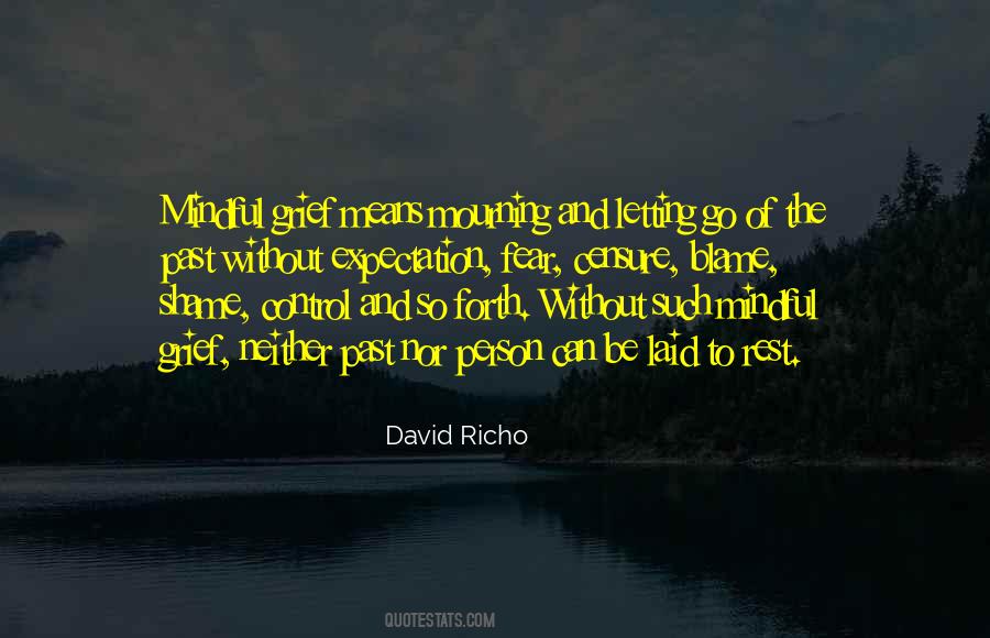 David Richo Quotes #1644907