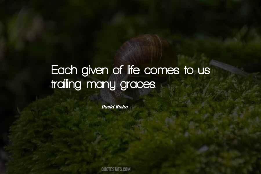 David Richo Quotes #1729582