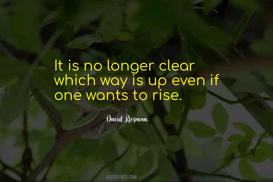 David Riesman Quotes #1260795