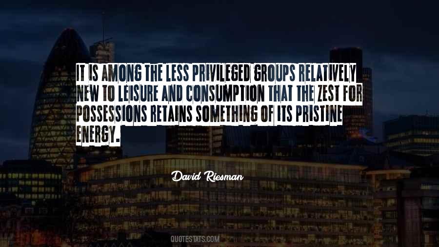 David Riesman Quotes #1271772
