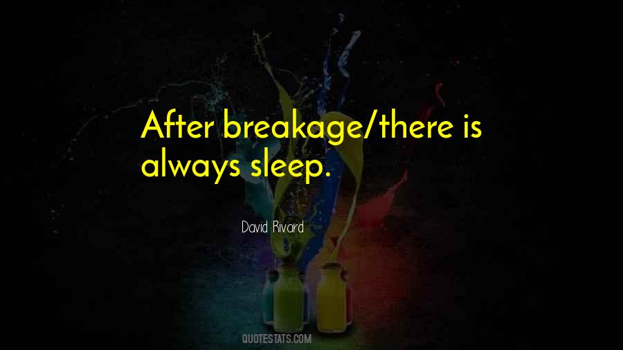 David Rivard Quotes #1343021