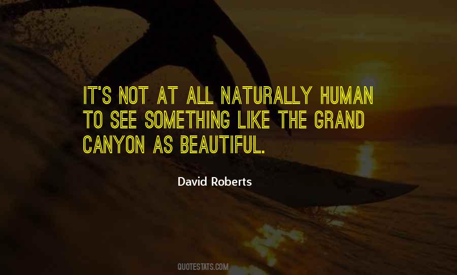 David Roberts Quotes #1531984