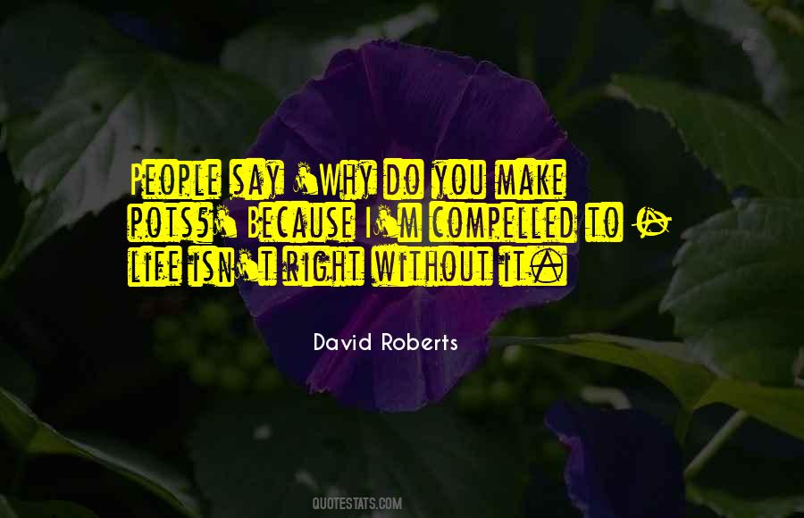 David Roberts Quotes #920770