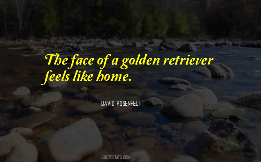 David Rosenfelt Quotes #1798738