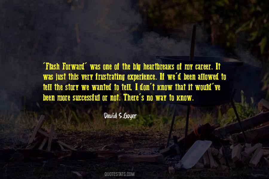 David S.Goyer Quotes #75003