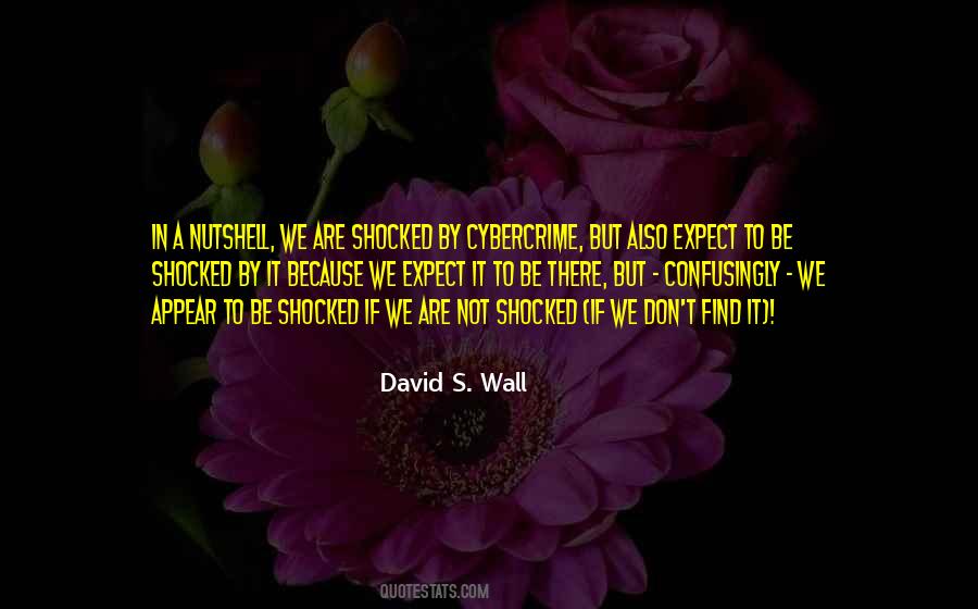 David S. Wall Quotes #134152 David S. Wall Quotes #134152