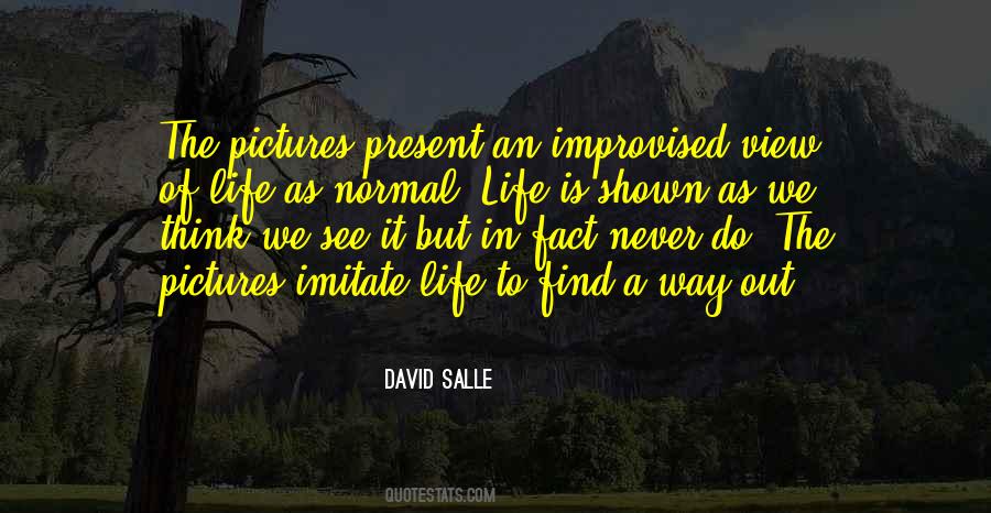 David Salle Quotes #1487327