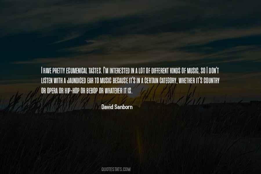David Sanborn Quotes #1736714