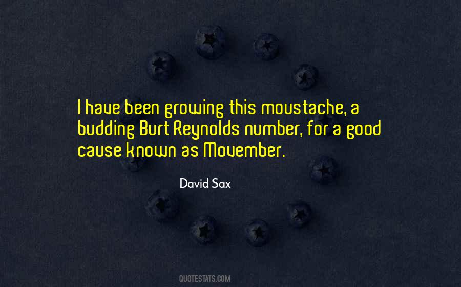 David Sax Quotes #539088