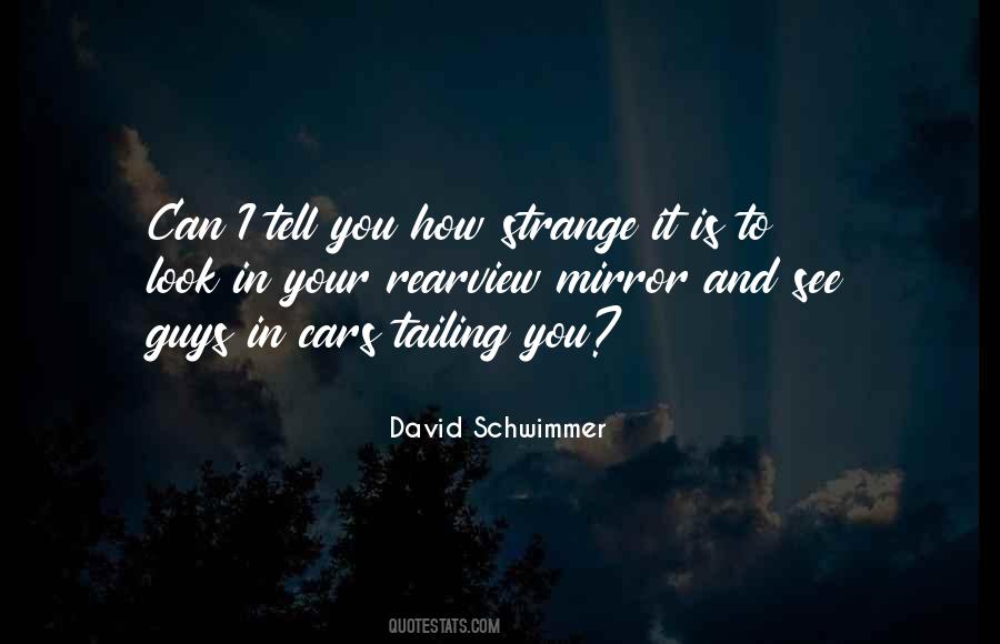 David Schwimmer Quotes #1083333