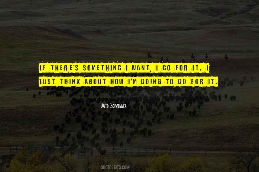 David Schwimmer Quotes #146186