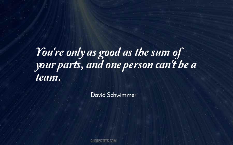 David Schwimmer Quotes #309593