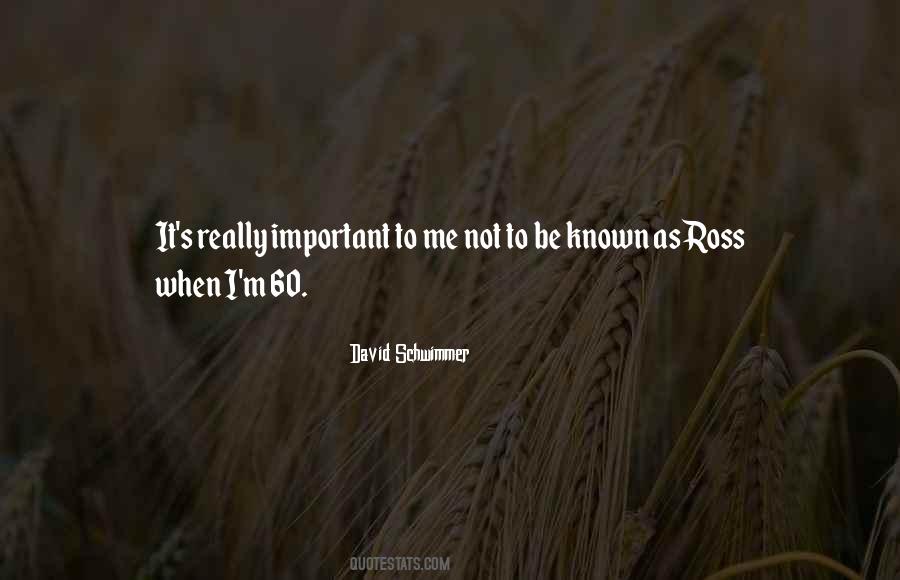 David Schwimmer Quotes #445131