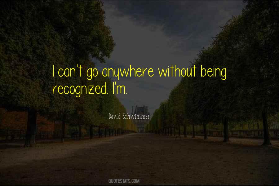 David Schwimmer Quotes #72880