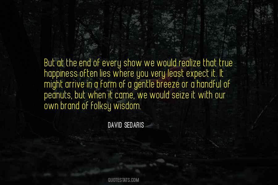 David Sedaris Quotes #1292609