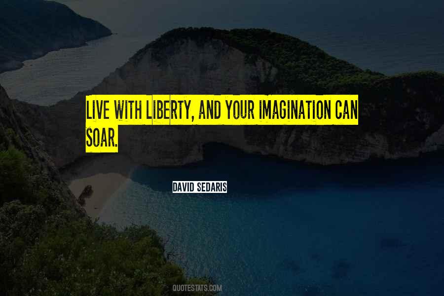David Sedaris Quotes #242539