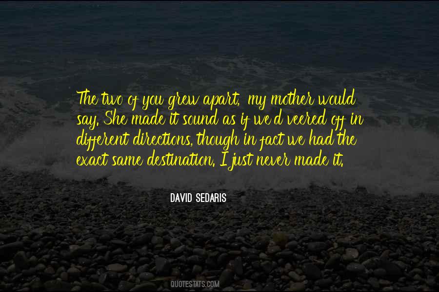 David Sedaris Quotes #24639