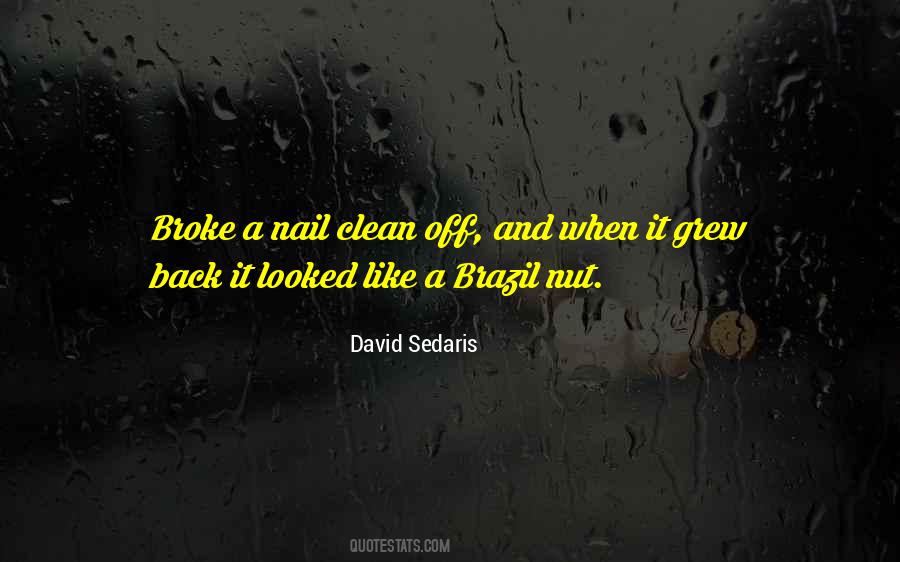 David Sedaris Quotes #514407