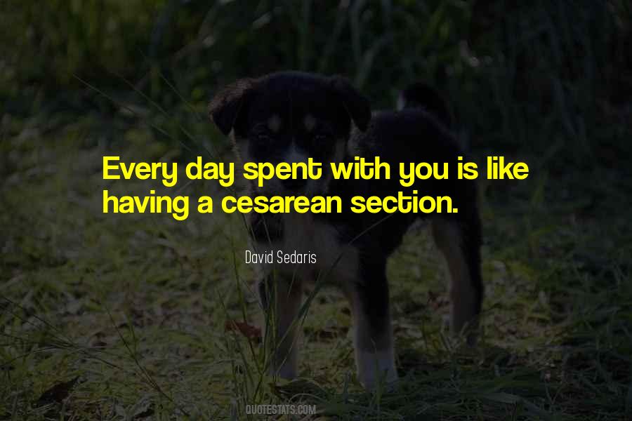 David Sedaris Quotes #552615