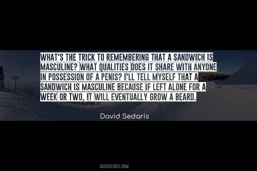 David Sedaris Quotes #923372