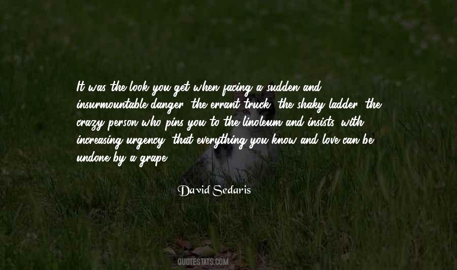 David Sedaris Quotes #999576