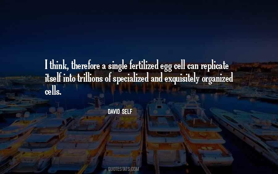 David Self Quotes #117367