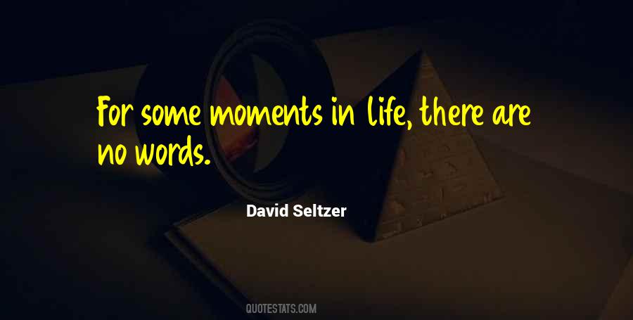 David Seltzer Quotes #234732