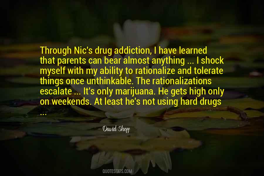 David Sheff Quotes #1231318