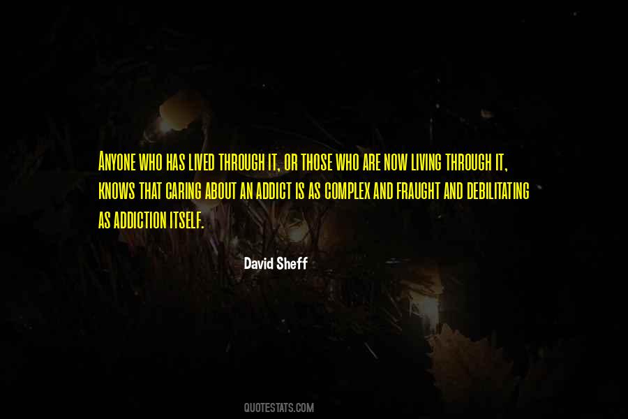 David Sheff Quotes #926956