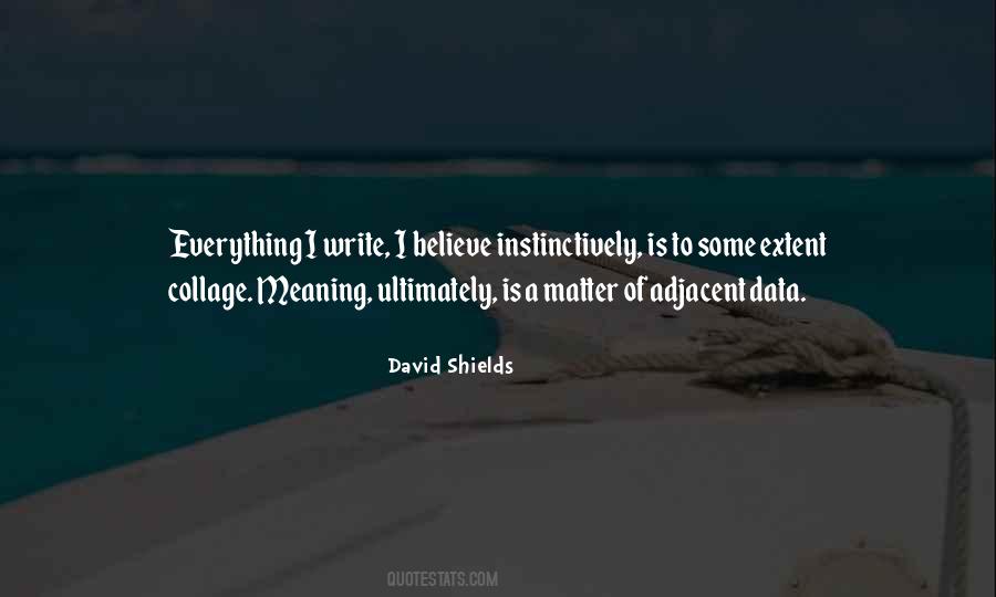 David Shields Quotes #1545997