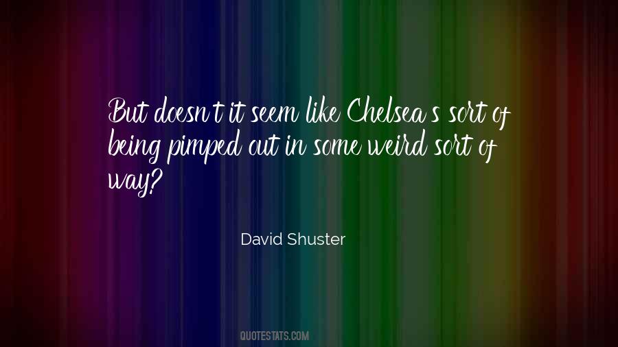 David Shuster Quotes #13966