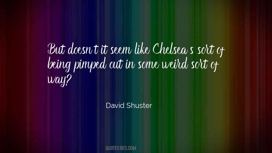 David Shuster Quotes #13966