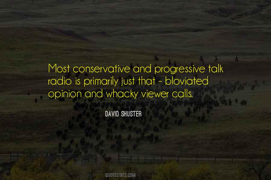 David Shuster Quotes #1496009