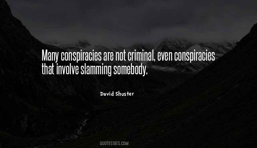 David Shuster Quotes #884664