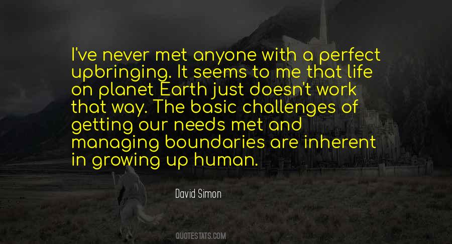 David Simon Quotes #211379